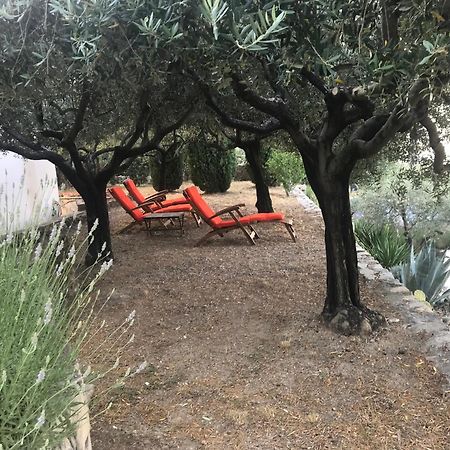 Le Clos En Provence Flayosc Номер фото