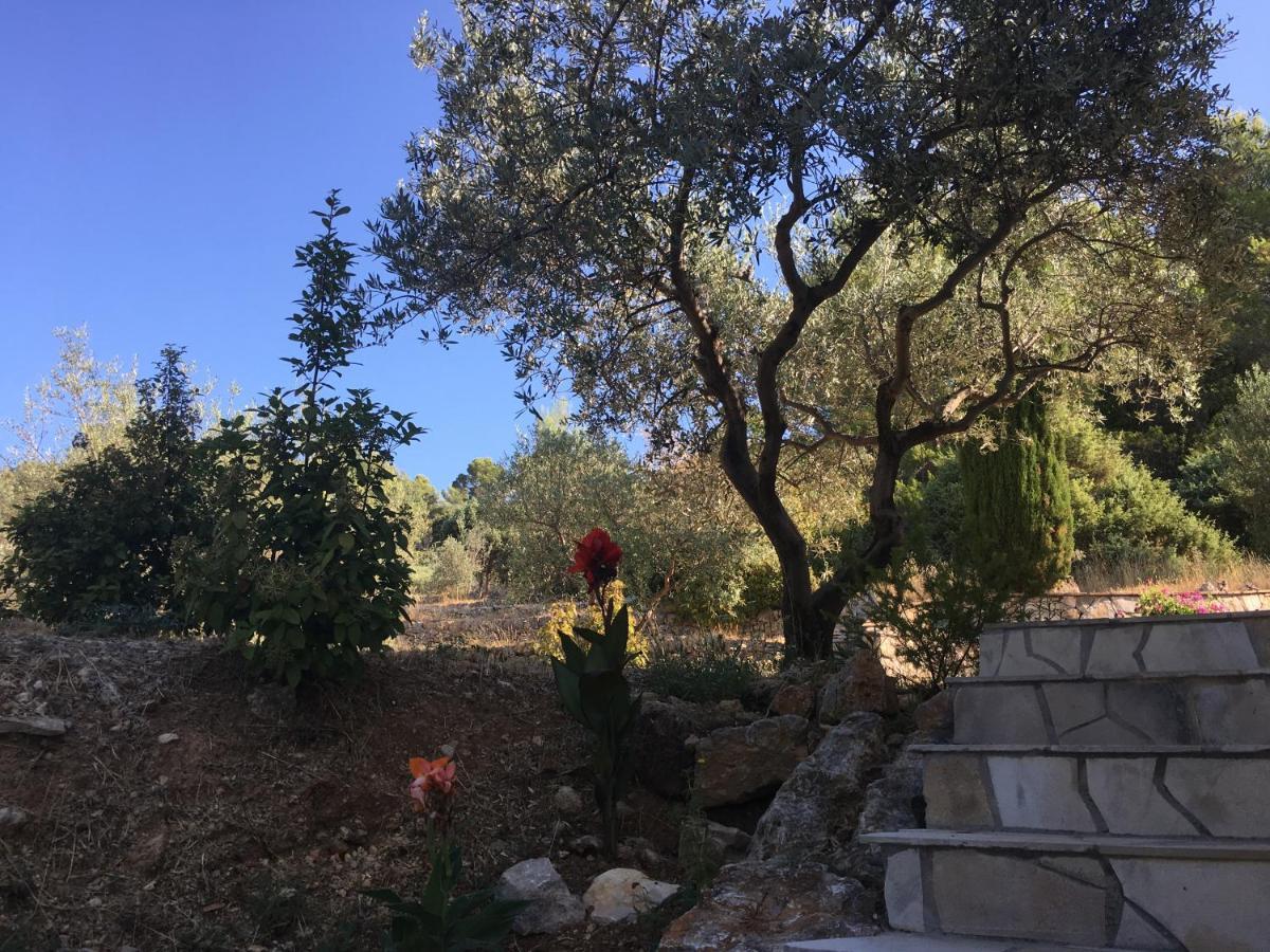 Le Clos En Provence Flayosc Экстерьер фото