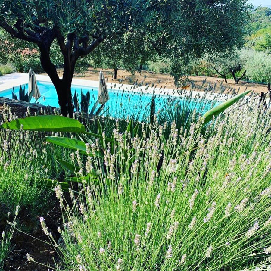 Le Clos En Provence Flayosc Экстерьер фото