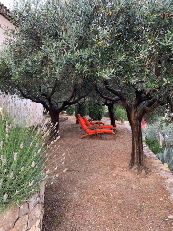 Le Clos En Provence Flayosc Экстерьер фото